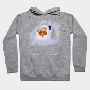 Santorini Cat - a souvenir you can get from your couch Hoodie